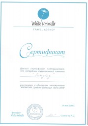 White umprella 2006