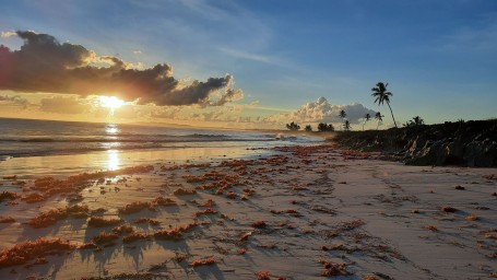 El faro ocean, Доминикана в ноябре 2021