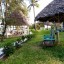 Декабрь 2020. Занзибар, отель Zanzibar Bay Resort 4* 8
