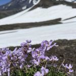 Камчатка,август 2026 1 Камчатка,август 2026 1