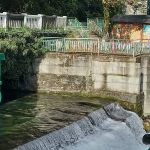 Абхазия, отель Капитан Блэк 5 Абхазия, отель Капитан Блэк 5