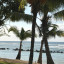 Маврикий: пафосное направление с фантастическими пейзажами и океаном 23